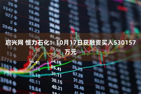启兴网 恒力石化：10月17日获融资买入530157万元