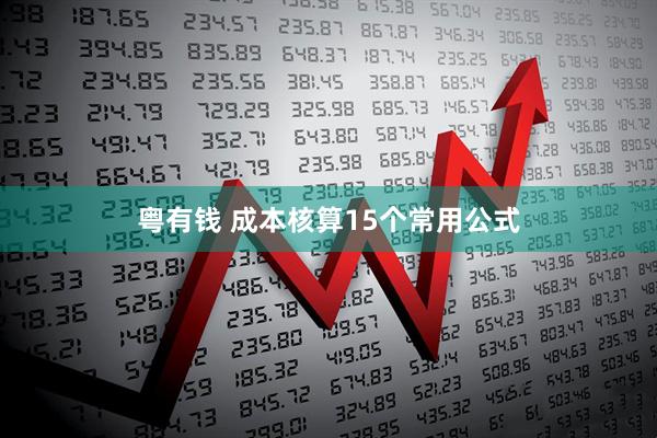 粤有钱 成本核算15个常用公式
