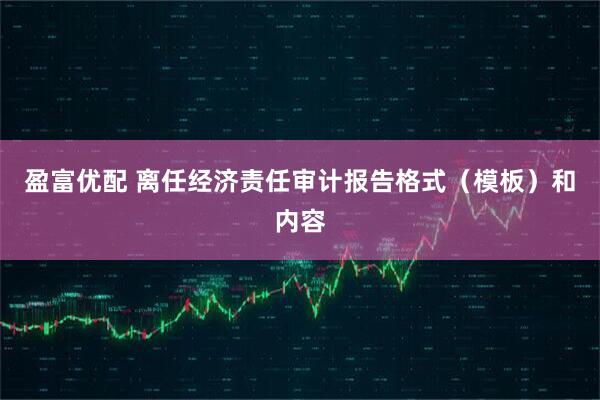 盈富优配 离任经济责任审计报告格式（模板）和内容