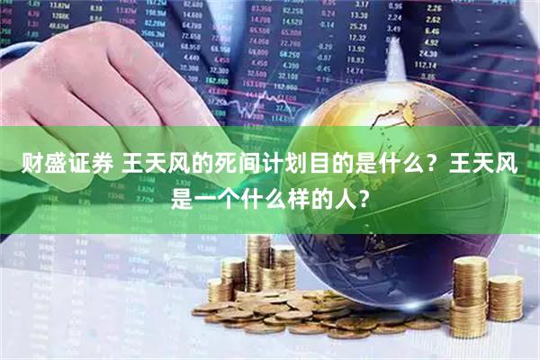 财盛证券 王天风的死间计划目的是什么？王天风是一个什么样的人？