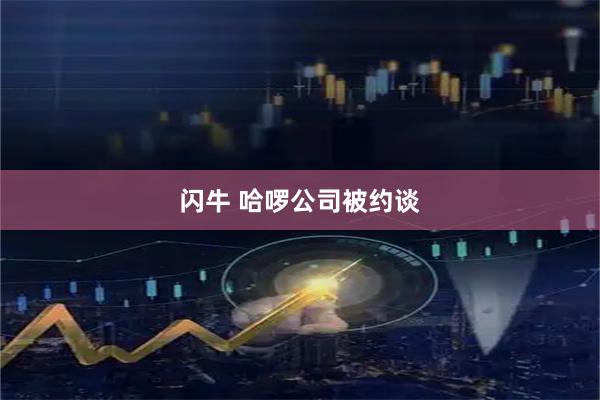 闪牛 哈啰公司被约谈