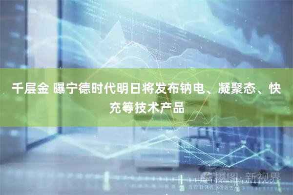 千层金 曝宁德时代明日将发布钠电、凝聚态、快充等技术产品
