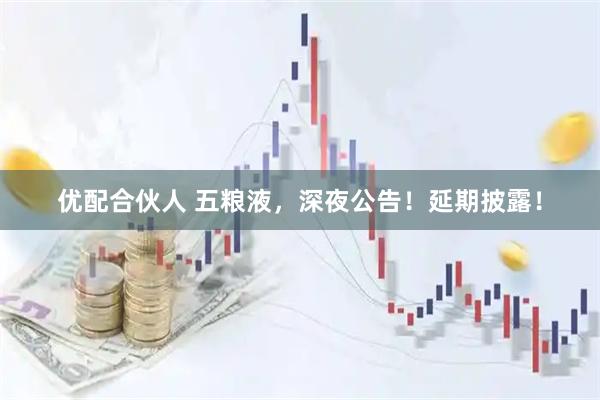 优配合伙人 五粮液，深夜公告！延期披露！