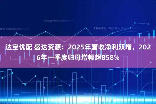 达宝优配 盛达资源：2025年营收净利双增，2026年一季度归母增幅超858%