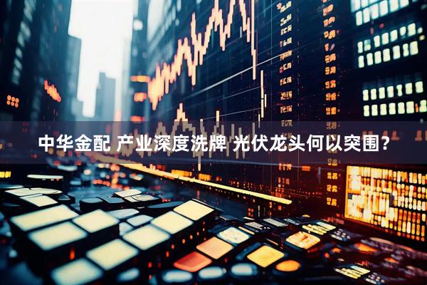 中华金配 产业深度洗牌 光伏龙头何以突围？